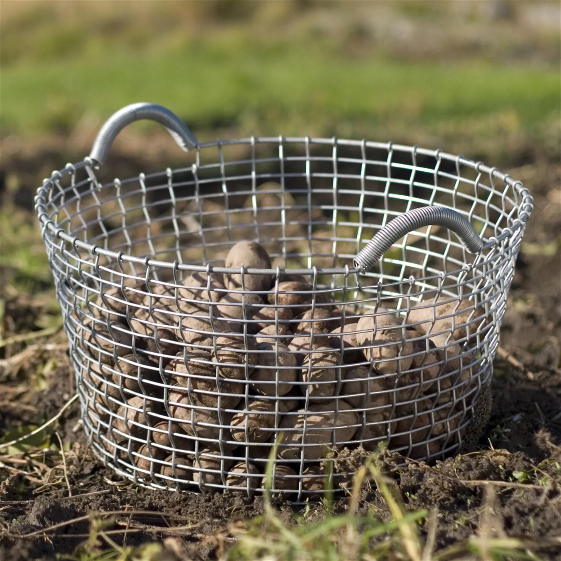 Panier Korbo Classic 35, acier galvanisé KORBO