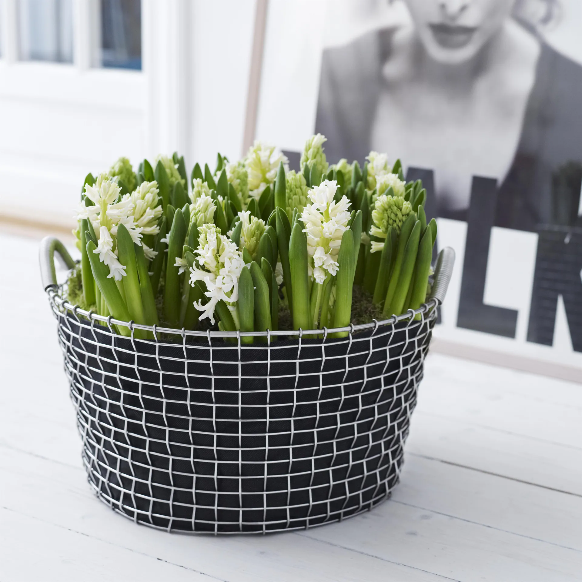 Panier Korbo Classic 35, acier galvanisé KORBO