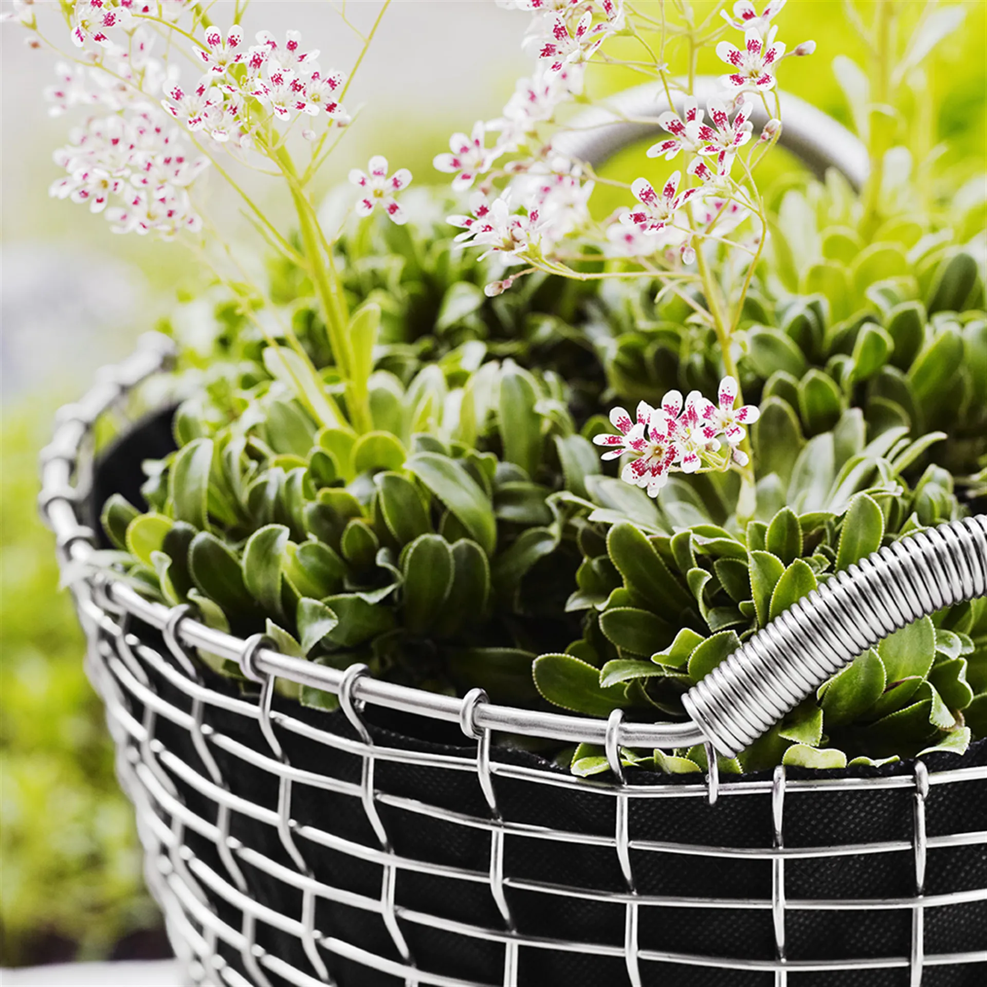 Panier Korbo Classic 35, acier inoxydable KORBO