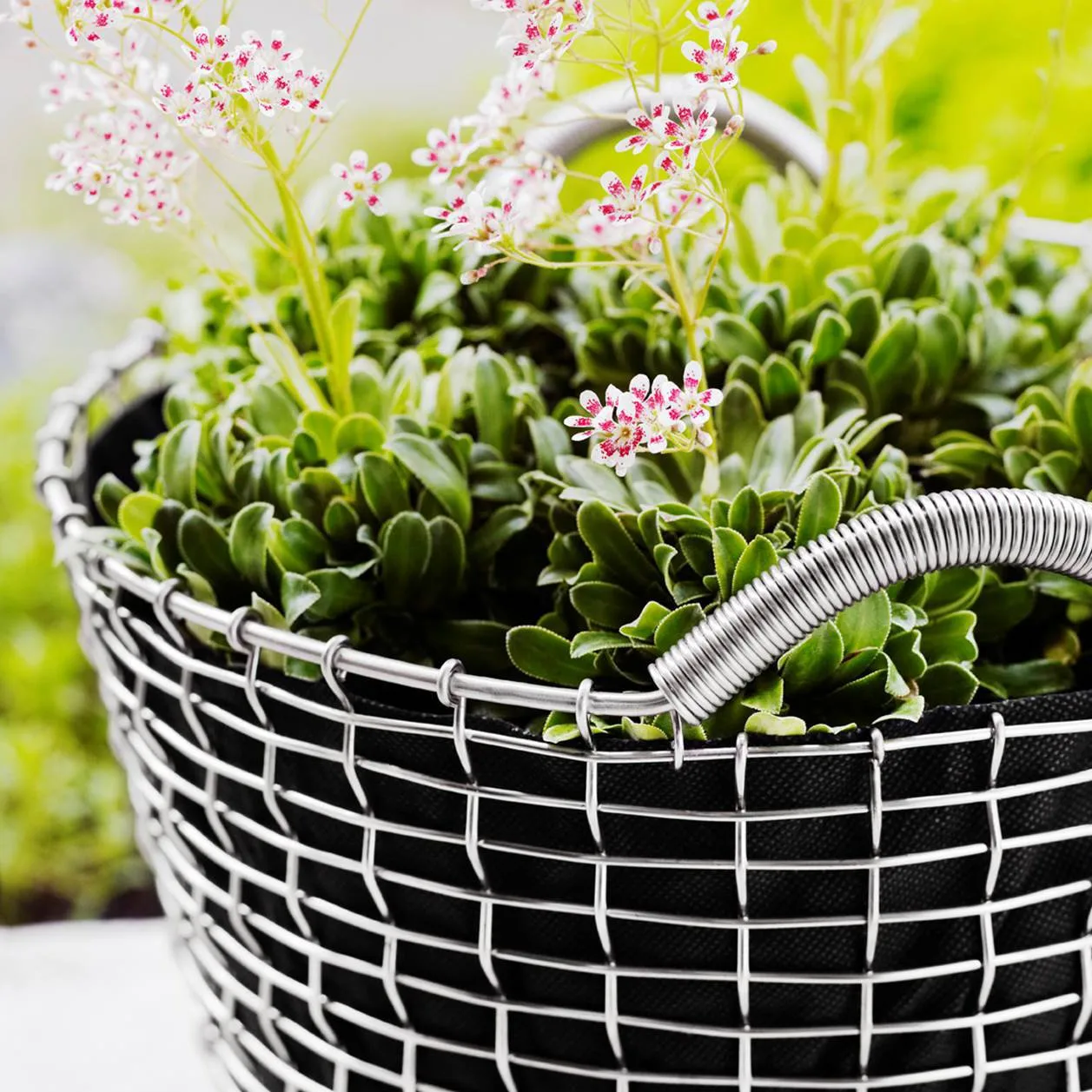 Panier Korbo classic 50, acier galvanisé KORBO