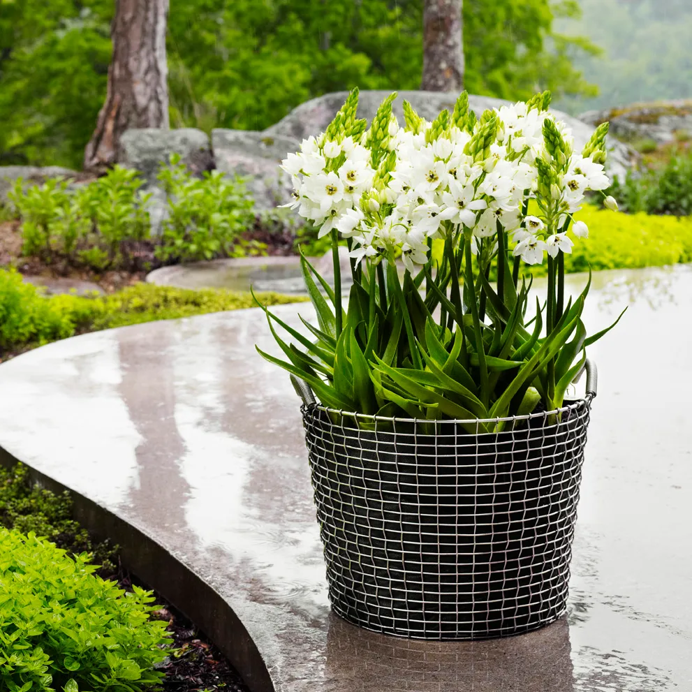 Panier Korbo classic 50, acier galvanisé KORBO