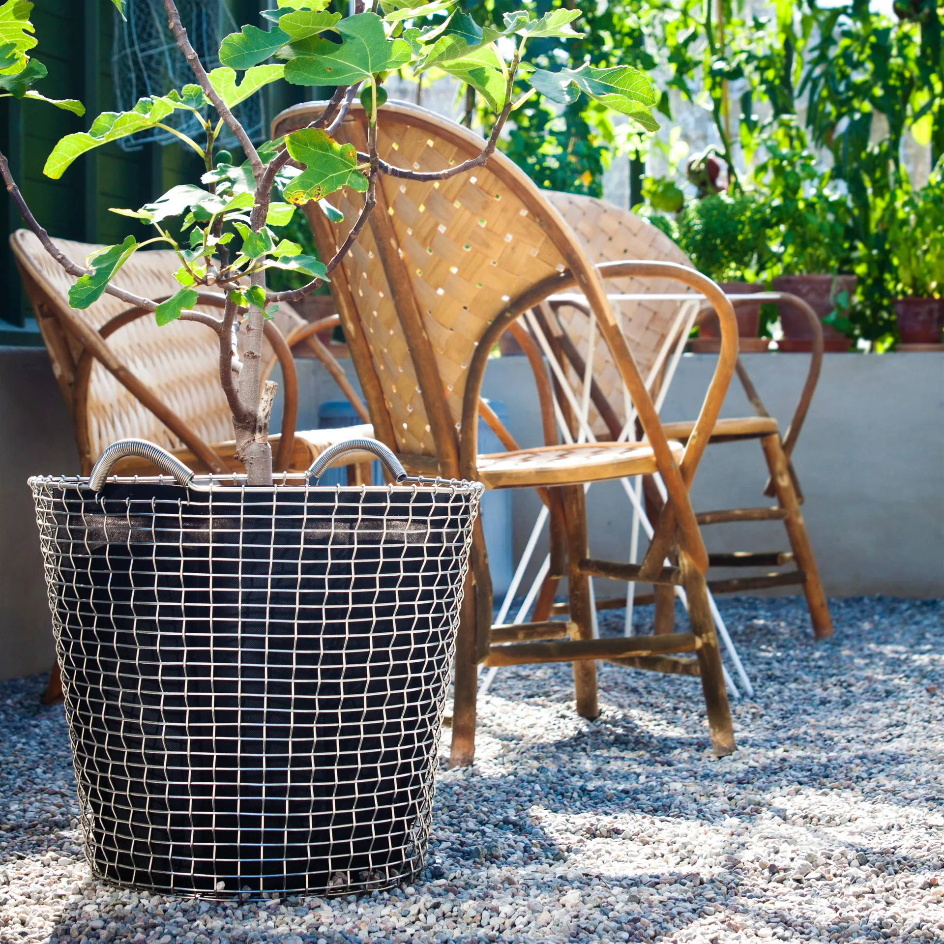 Panier Korbo Classic 65, acier galvanisé KORBO