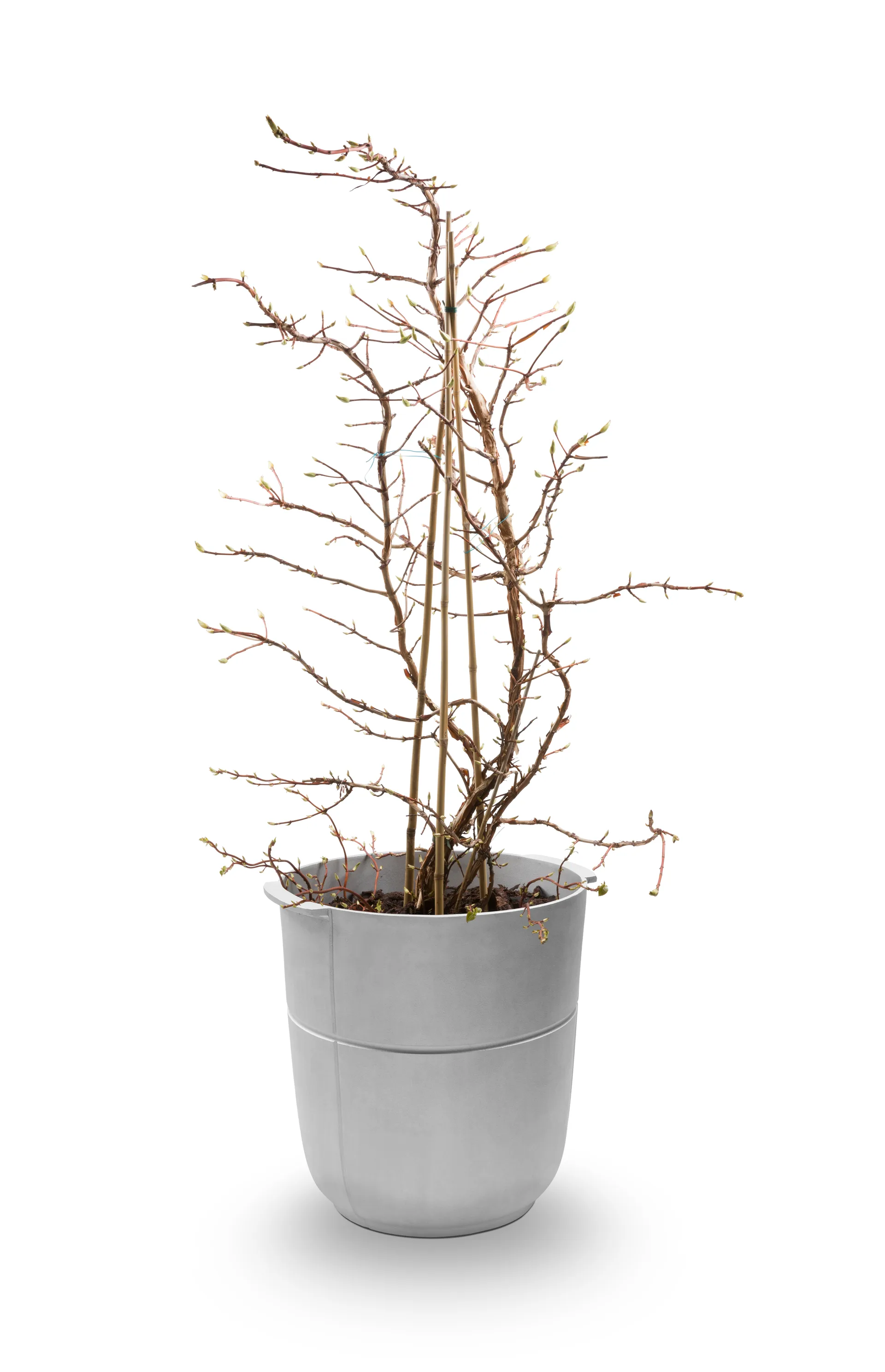 Pot Linea n°1 haut, Aluminium KORBO