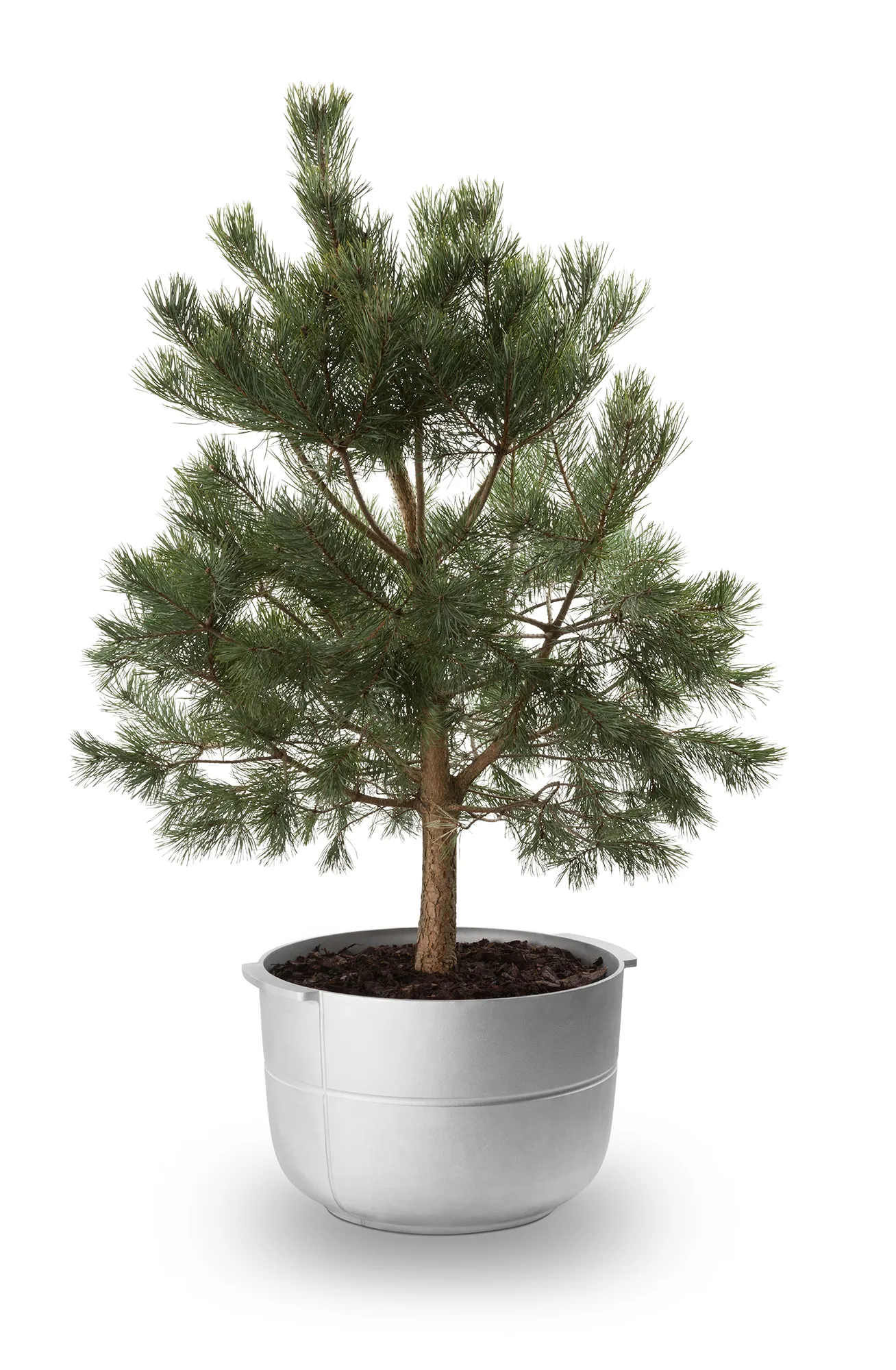 Pot Linea n°2 medium, Aluminium KORBO