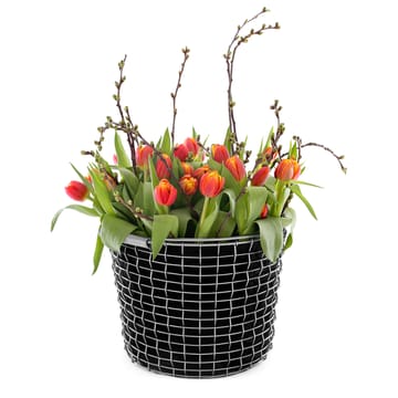 Sac de plantation Korbo lot de 3 - 16 L - KORBO
