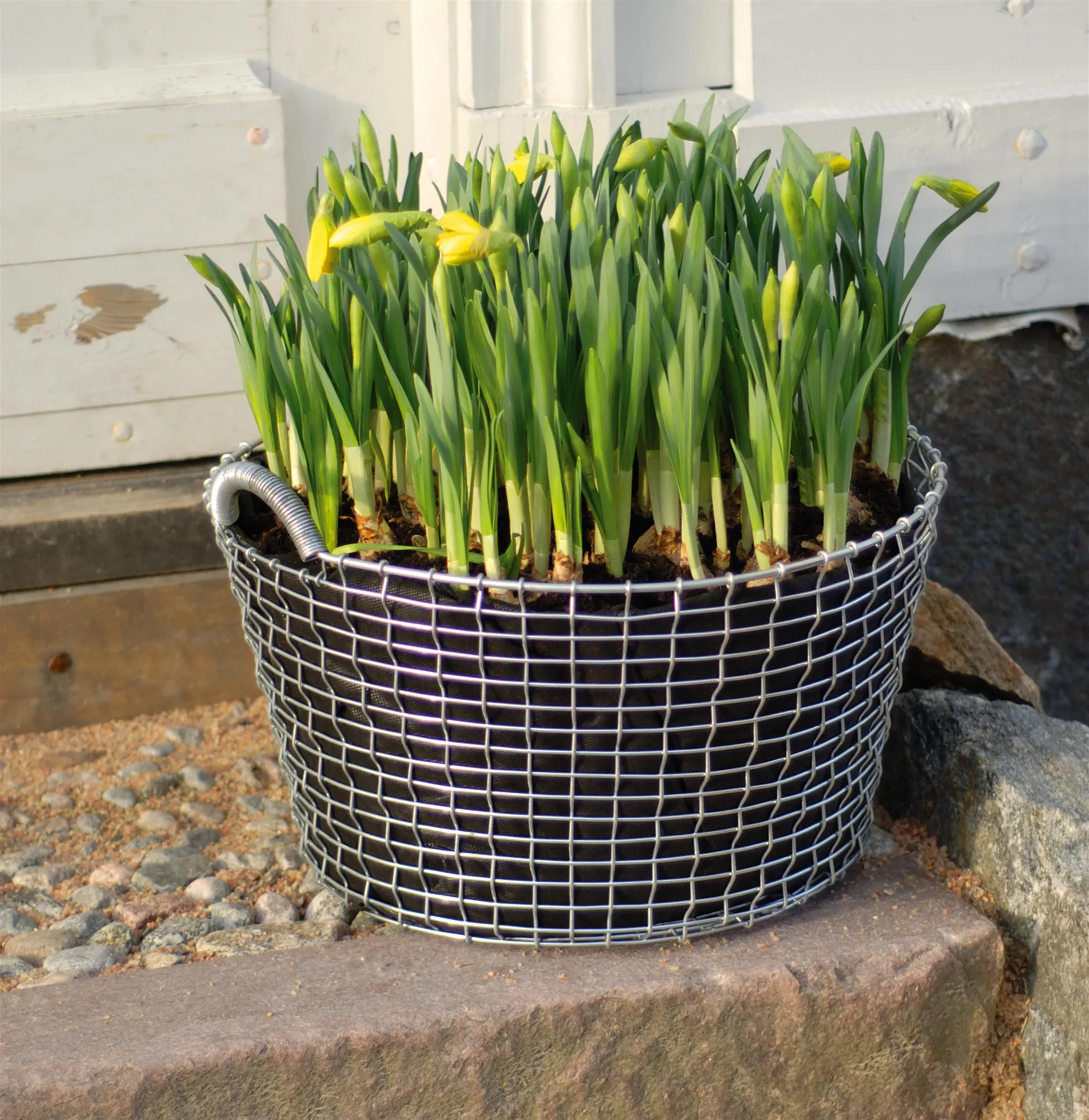 Sac de plantation Korbo lot de 3, 24 L KORBO