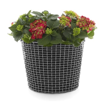 Sac de plantation Korbo lot de 3 - 50 L - KORBO
