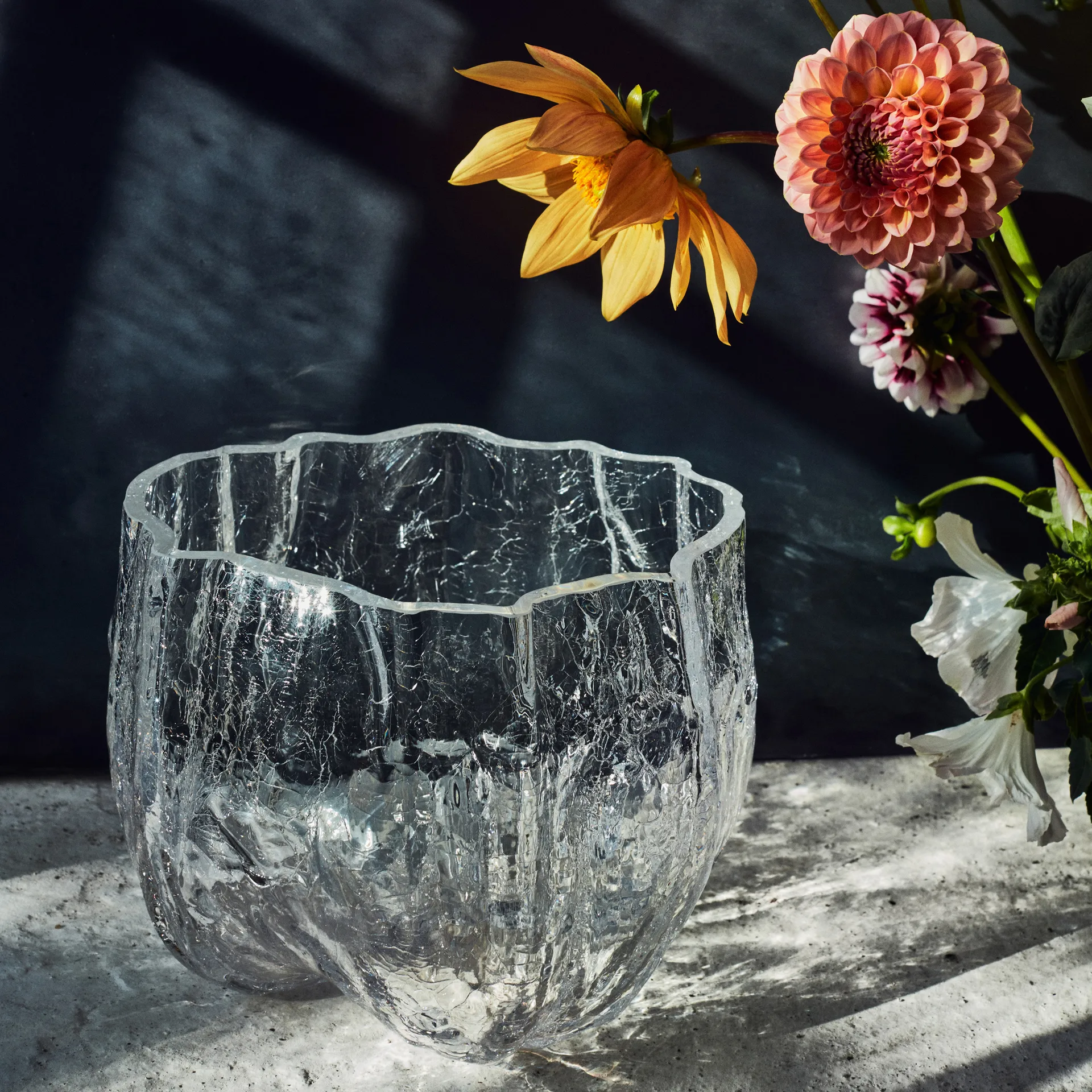 Bol Crackle grand, Transparent Kosta Boda