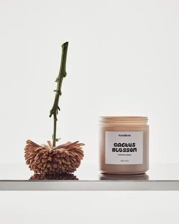 Bougie parfumée Mind - Cactus Blossom, 330 g - Kosta Boda
