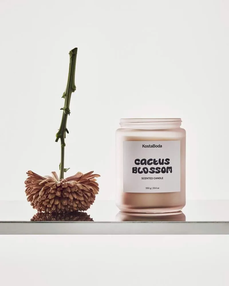 Bougie parfumée Mind, Cactus Blossom, 550 g Kosta Boda