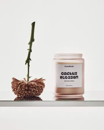 Bougie parfumée Mind - Cactus Blossom, 550 g - Kosta Boda
