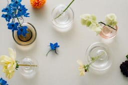 Vase Kappa 56 mm, Transparent Kosta Boda