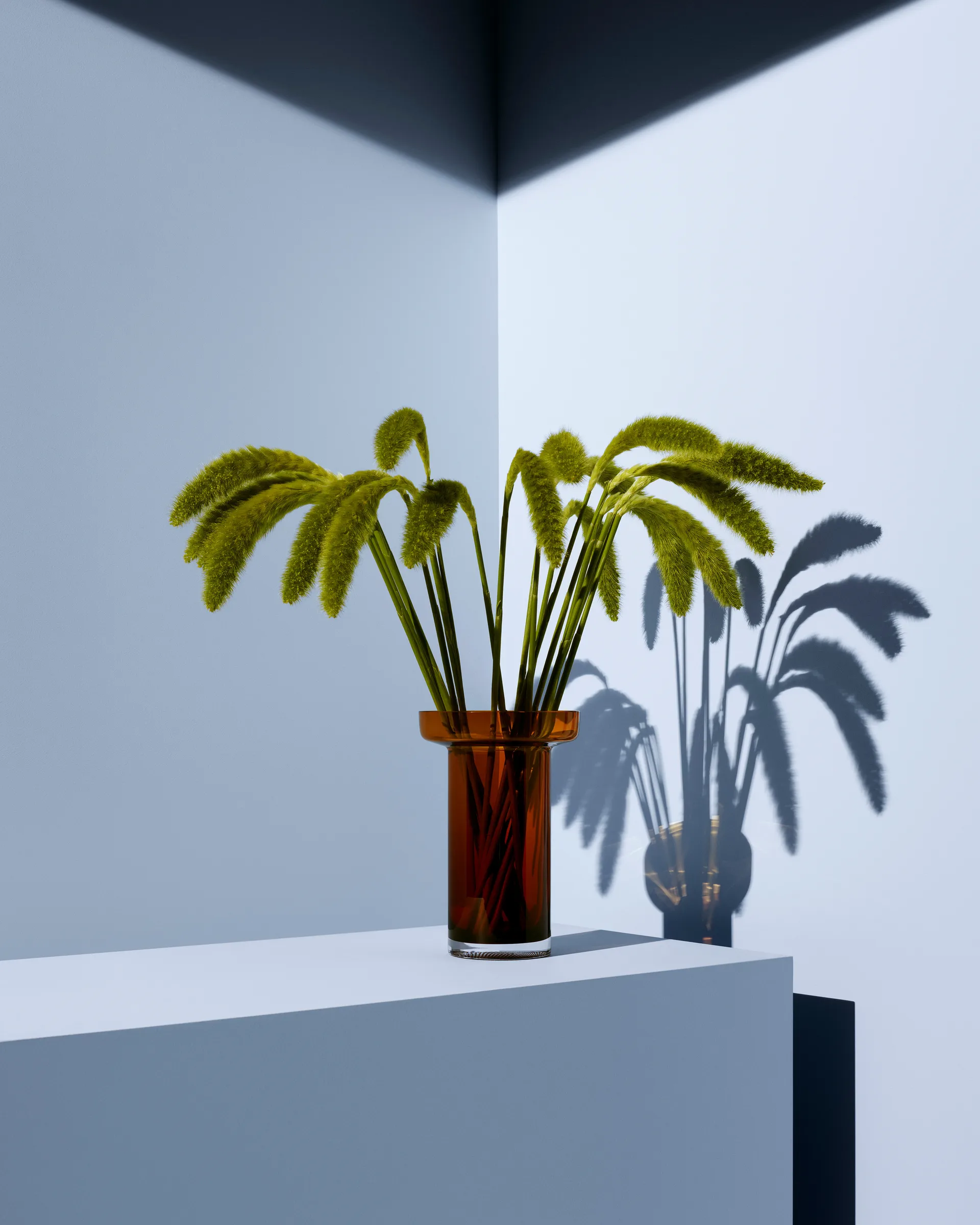 Vase Limelight Rose 23cm, Ambre Kosta Boda