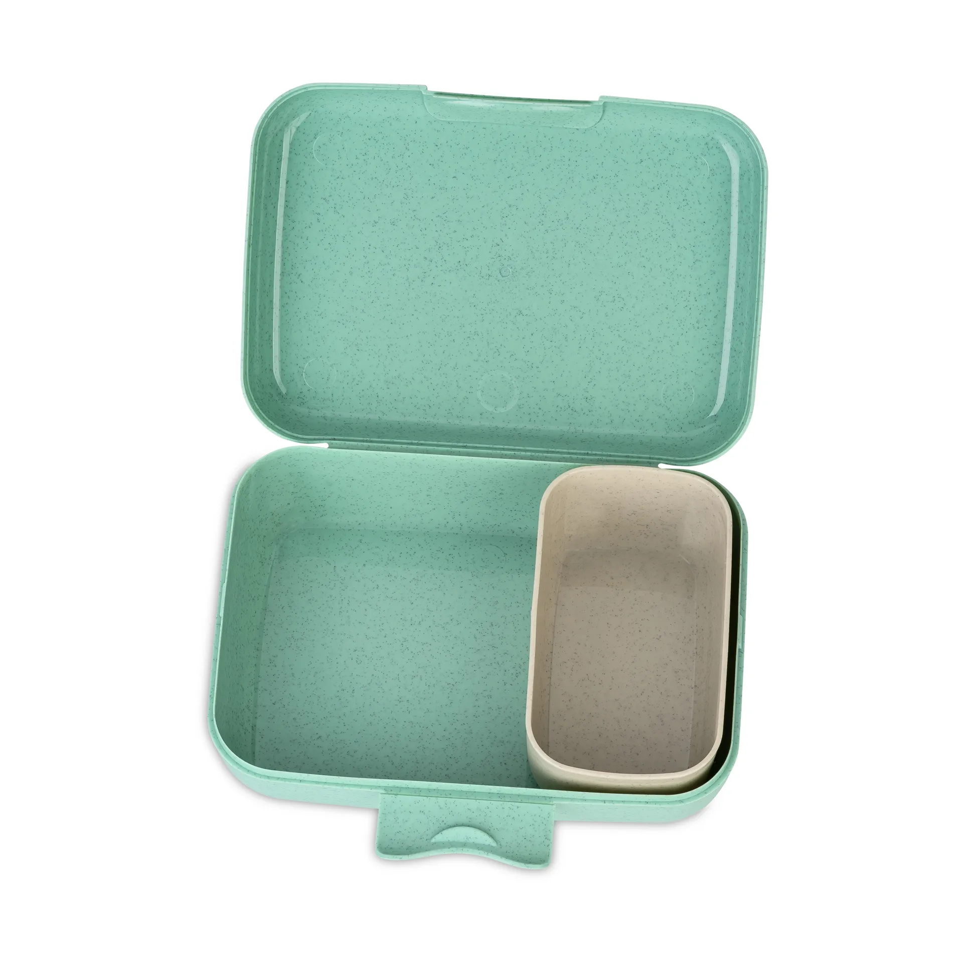 Boîte à déjeuner Candy L, Dinosaurier Koziol