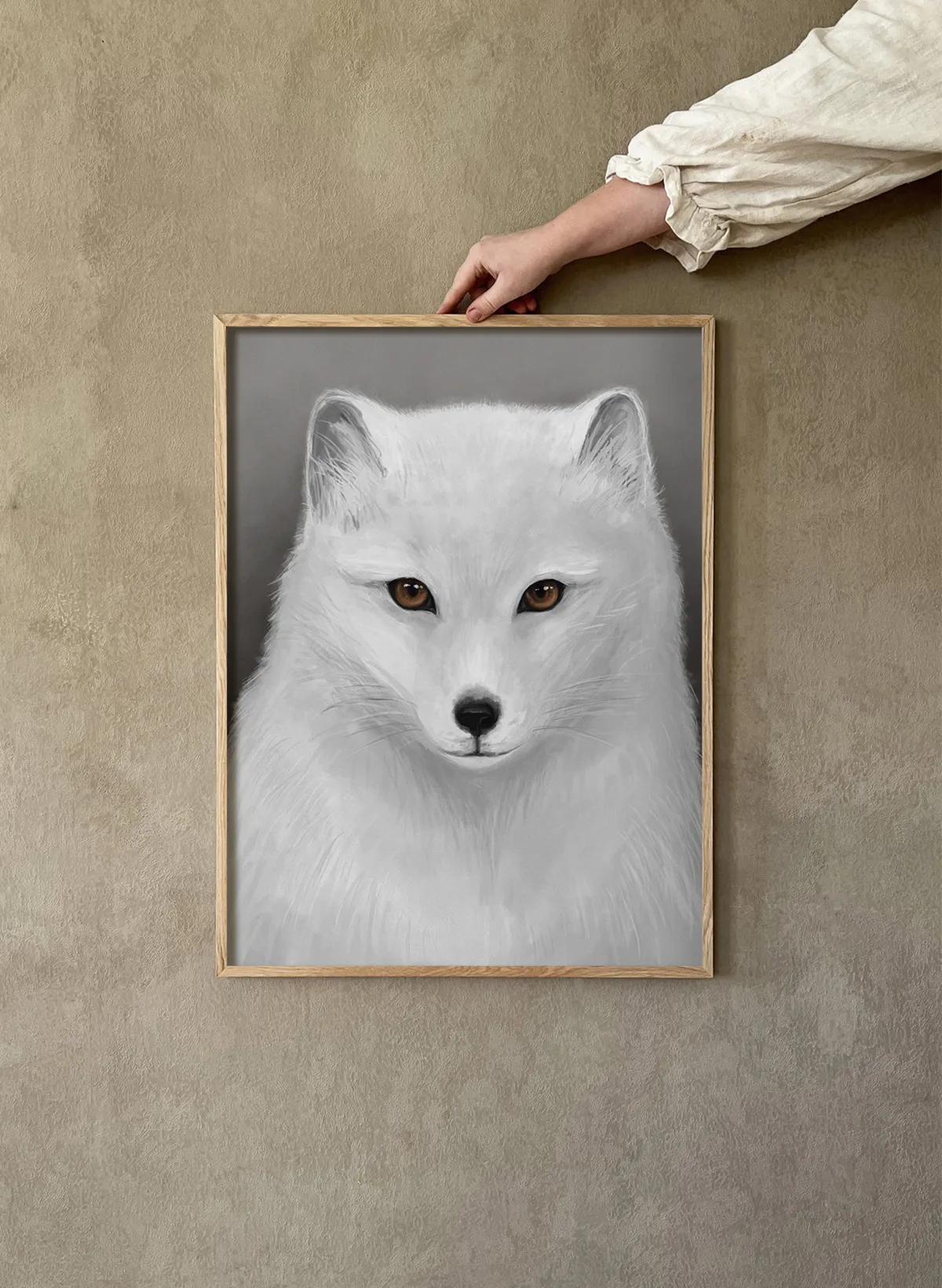 Affiche Fjällräv, 30x40 cm Kunskapstavlan®