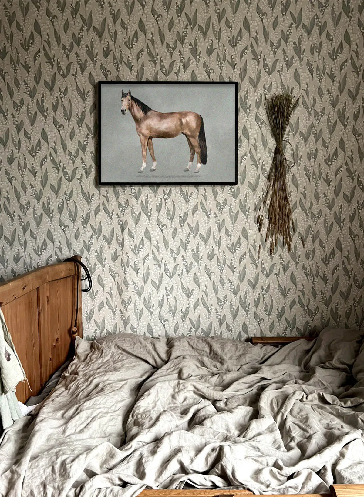 Affiche The anatomy of the horse, 30x40 cm Kunskapstavlan®