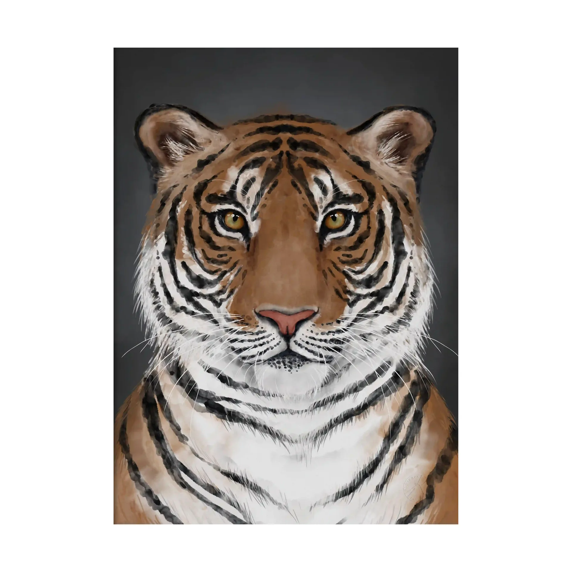 Affiche Tiger, 30x40 cm Kunskapstavlan®