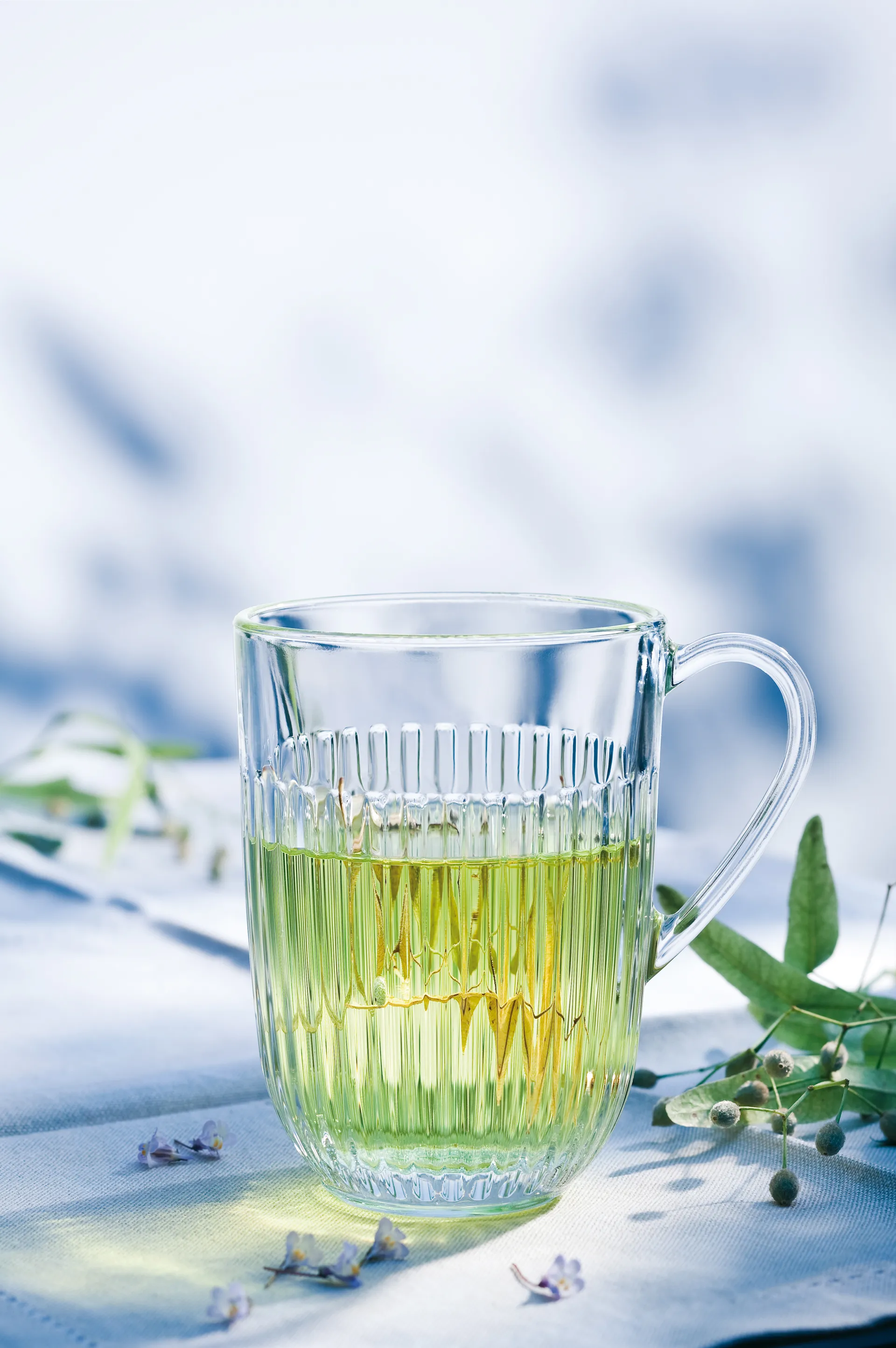 Mug Ouessant 40 cl, lot de 6, Transparent La Rochère