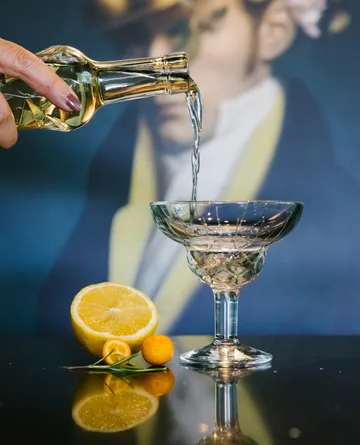 Verres à cocktail Chicago 6 pièces - 21 cl - La Rochère