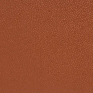 Fauteuil Sunny avec accoudoirs - Cuir Cognac - base en chrome avec roues - Lammhults