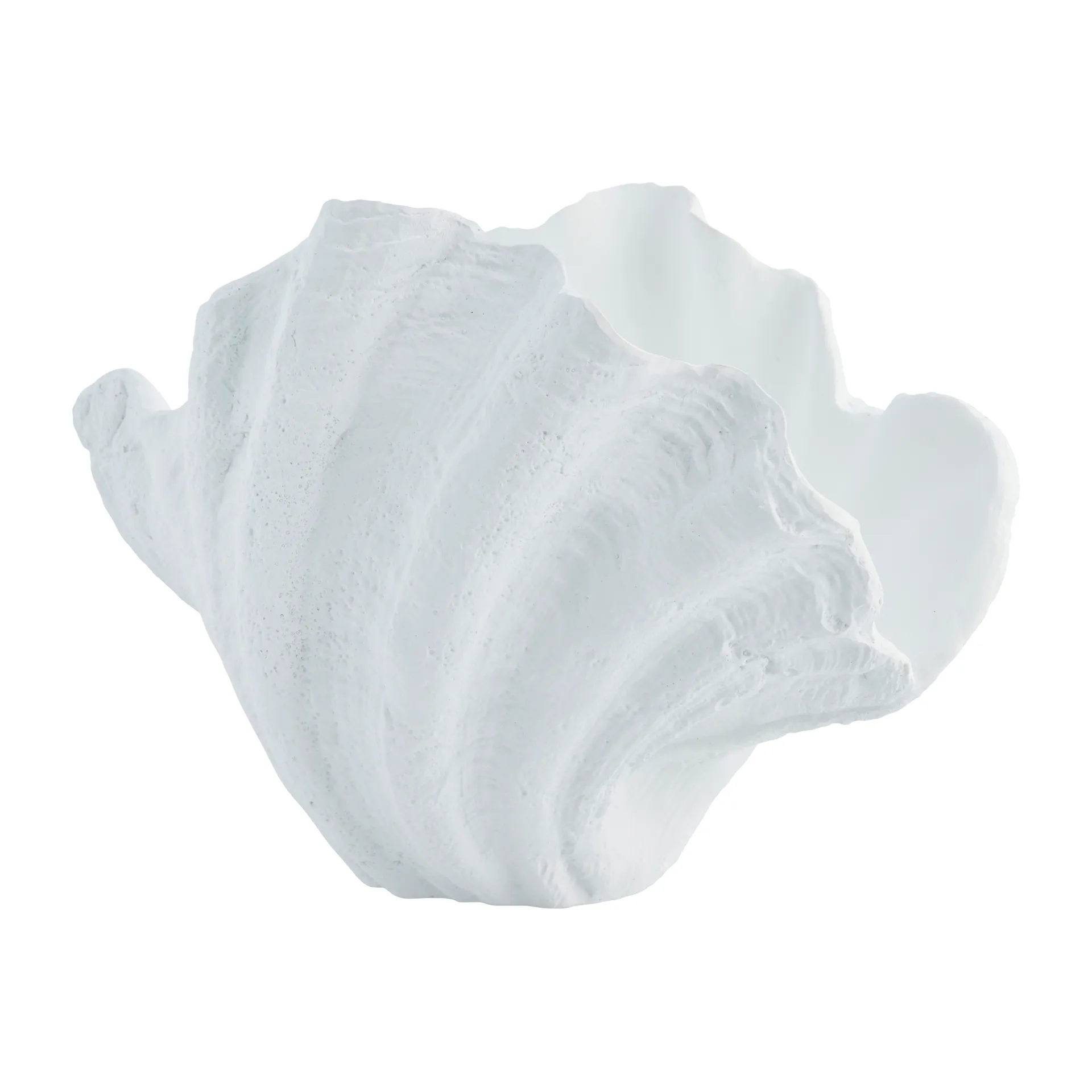 Coquillage décoratif Shella, 23 cm Lene Bjerre