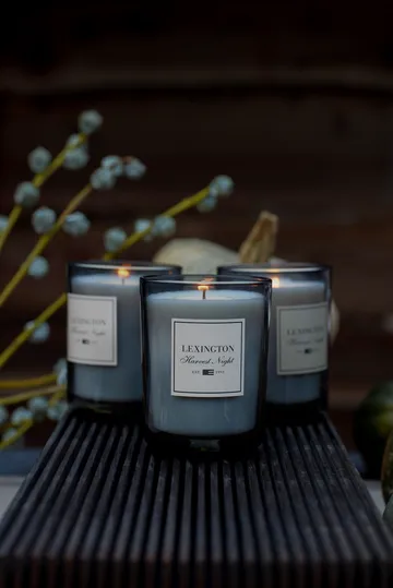 Bougie parfumée Harvest Night - Dark gray - Lexington