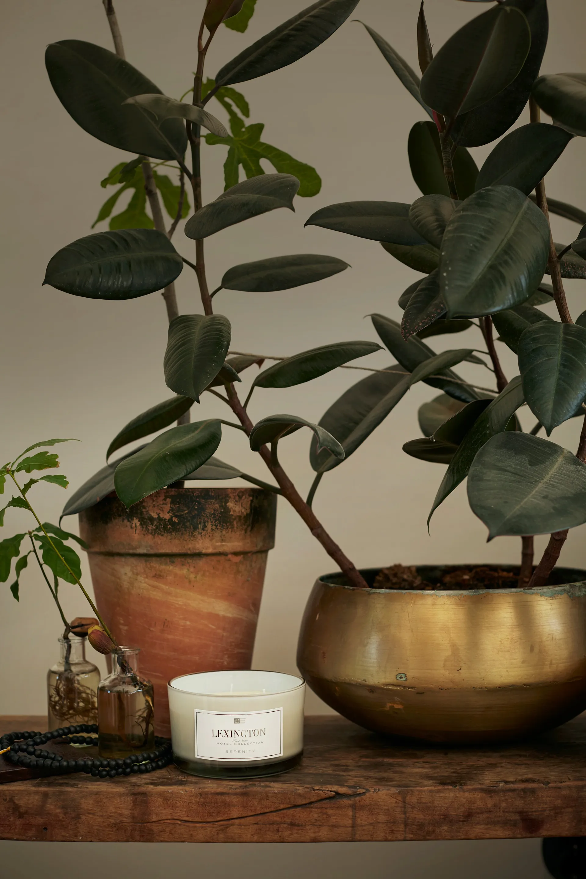 Bougie parfumée Hotel Serenity 3 mèches, 30 heures Lexington