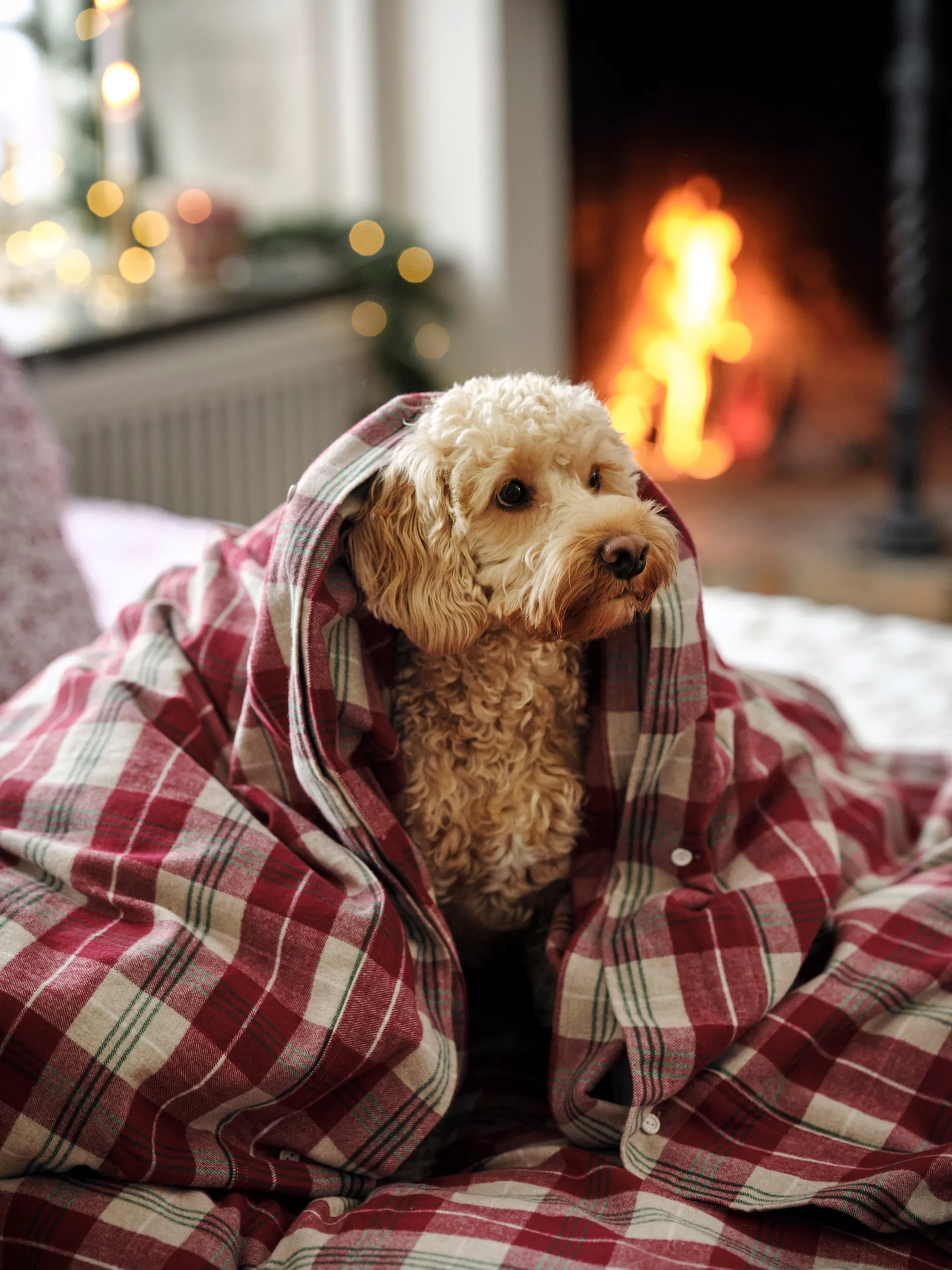 Ensemble de literie Checked cotton flannel, Rouge-beige-vert-blanc Lexington