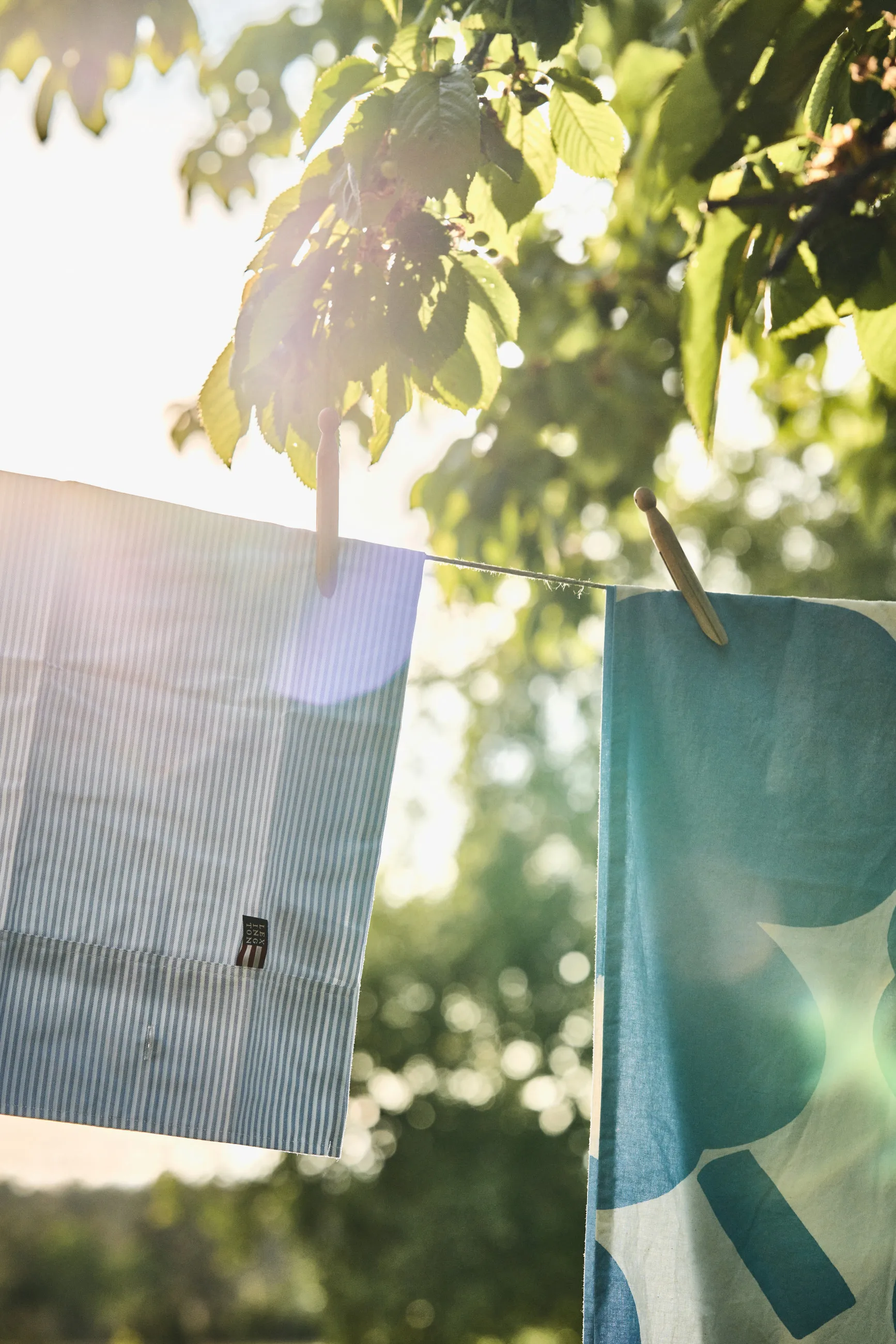 Oreiller Icons Pin Point 50x60 cm, Blue-white Lexington