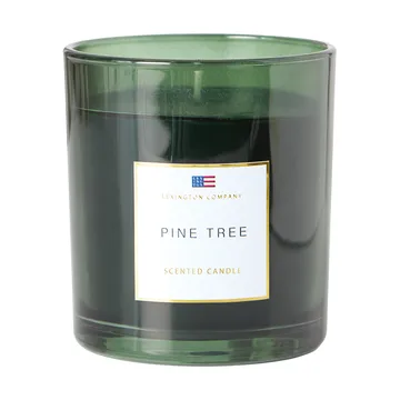 Pine Tree Scented Candle - Pine Tree bougie parfumée - Lexington