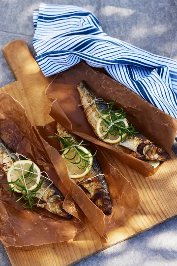 Serviette Striped Organic Cotton 50x50 cm - Navy - Lexington