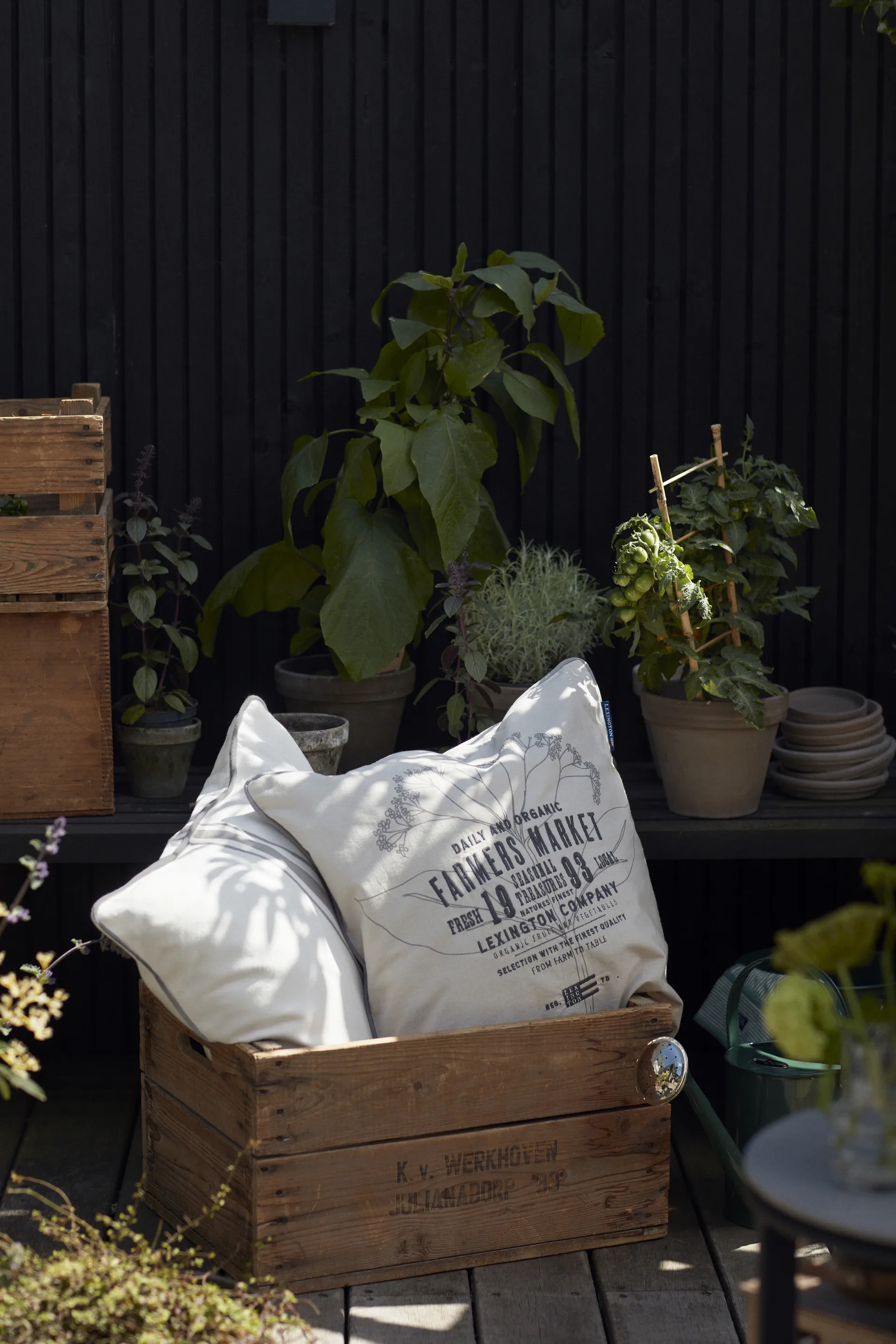 Taie d'oreiller Farmers Market 50x50 cm, Beige Lexington