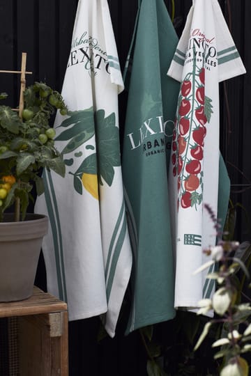 Torchon de cuisine Herb 50x70 cm - Vert - Lexington