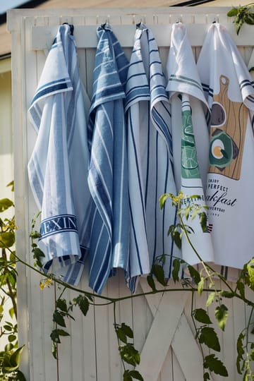 Torchon Striped 50x70 cm - White-blue - Lexington