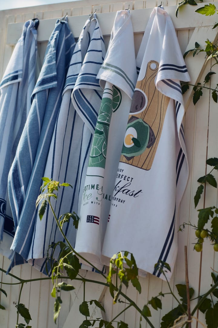 Torchon Striped 50x70 cm, White-blue Lexington