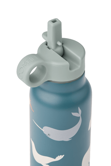 Gourde Falk 35 cl - Arctic Sea-Ocean view - Liewood