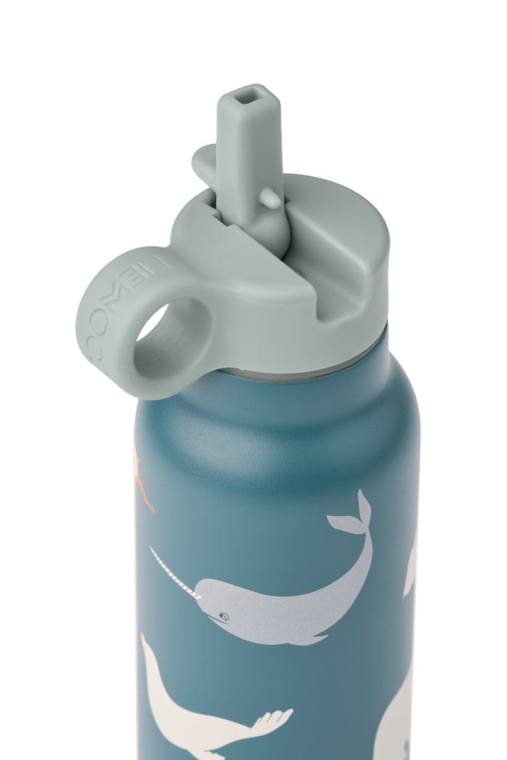 Gourde Falk 35 cl, Arctic Sea-Ocean view Liewood