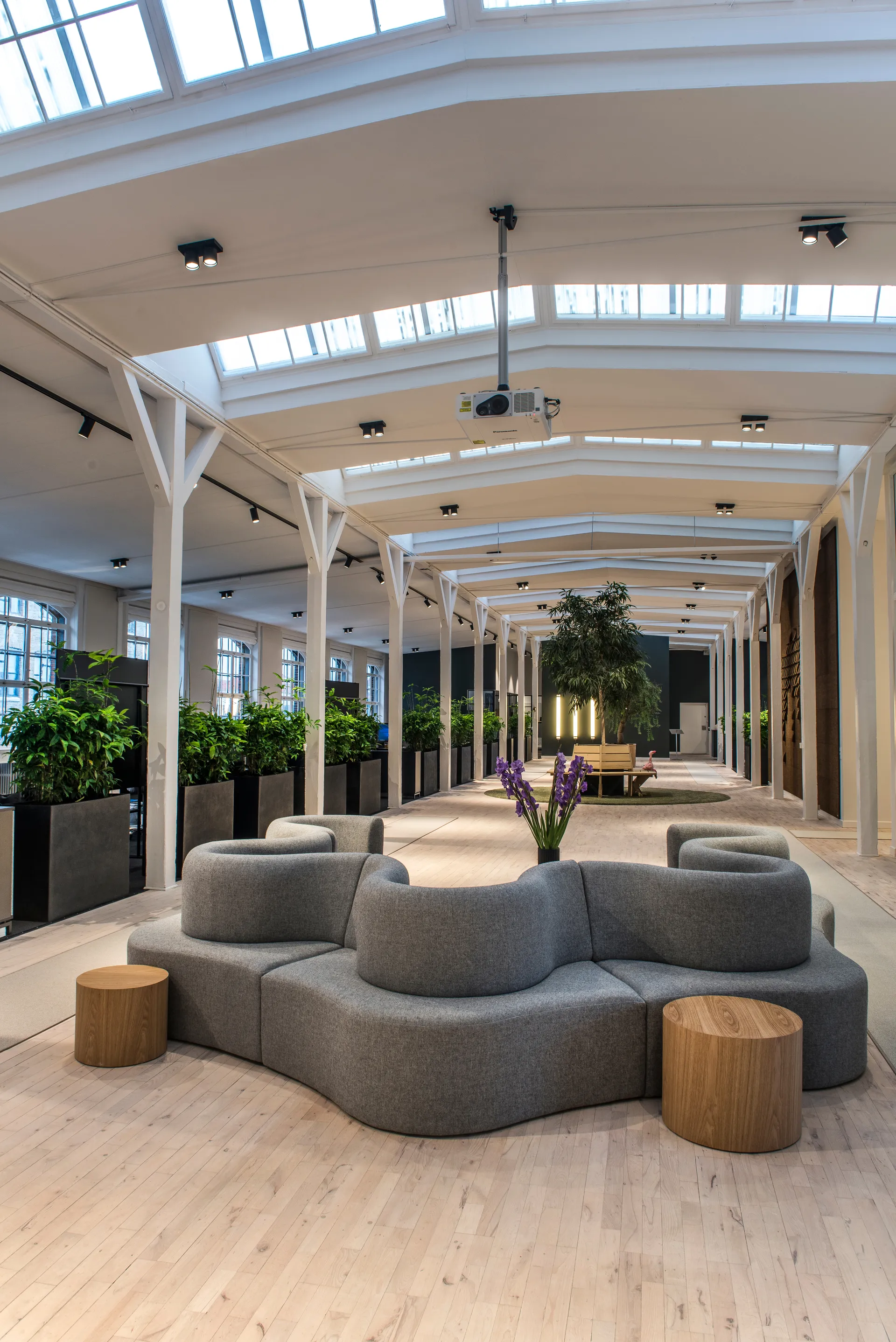 Applique murale et plafonnier Focus 2 switch tune, Black Light-Point