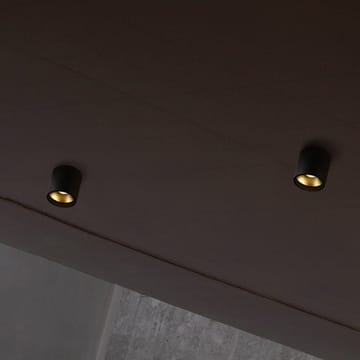 Solo Round spotlight - black/gold, 3000 kelvins - Light-Point