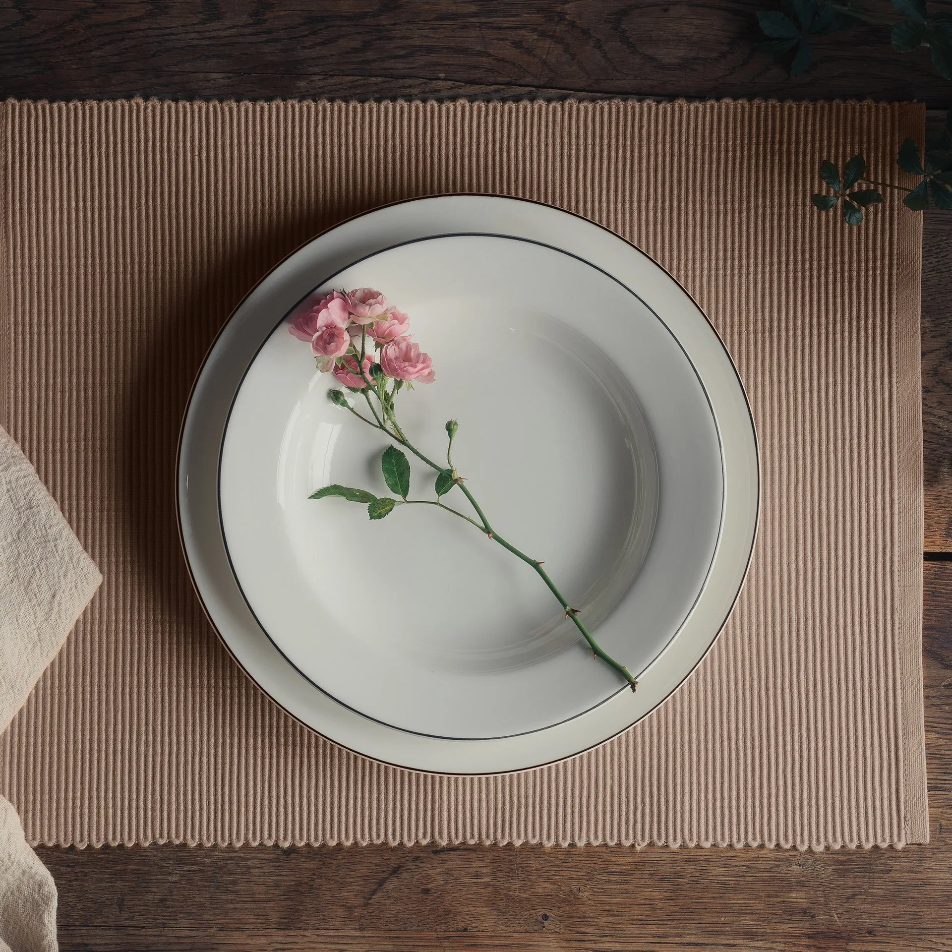 Lot de 2 sets de table Uni 35x46 cm, Brun taupe Linum