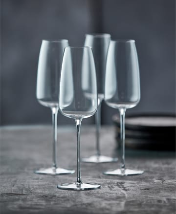 Verre à champagne Veneto 36 cl, lot de 2 - Clear - Lyngby Glas
