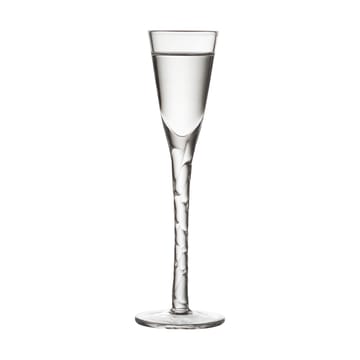 Verre à schnaps Paris 2,5 cl 6 pièces - Transparent - Lyngby Glas