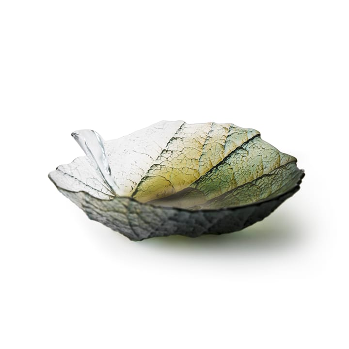 Bol Folia grand - Vert forêt - Målerås glasbruk
