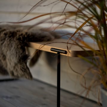 Table basse Update - Chêne clair verni transparent, 160 cm - Mavis