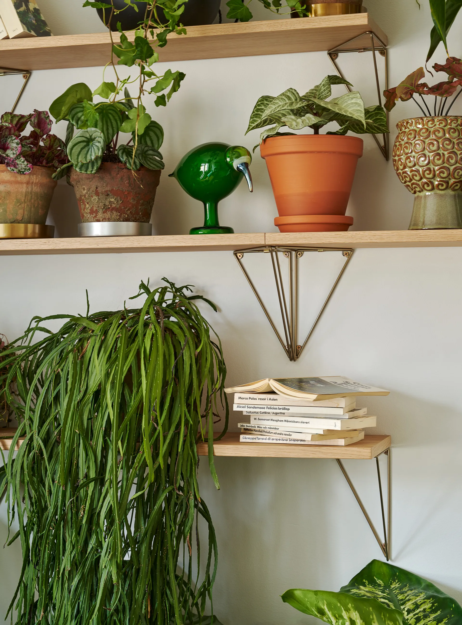 Étagère Pythagoras (planche), chêne Maze