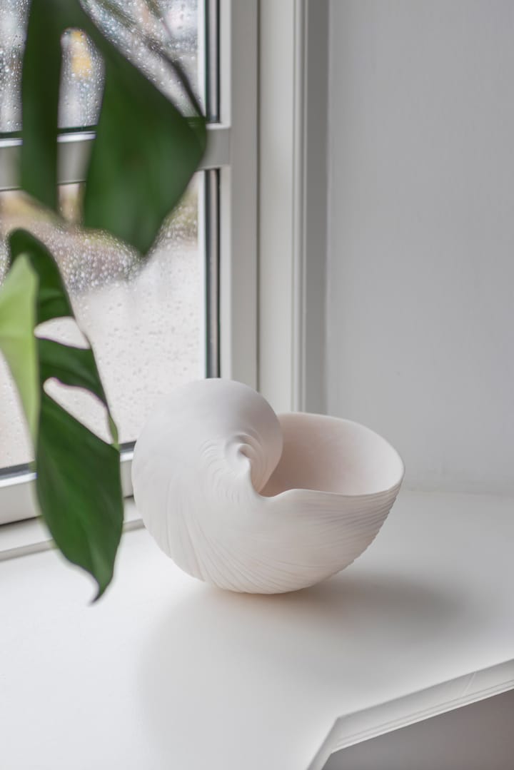 Coquillage de décoration Conch, Large Mette Ditmer