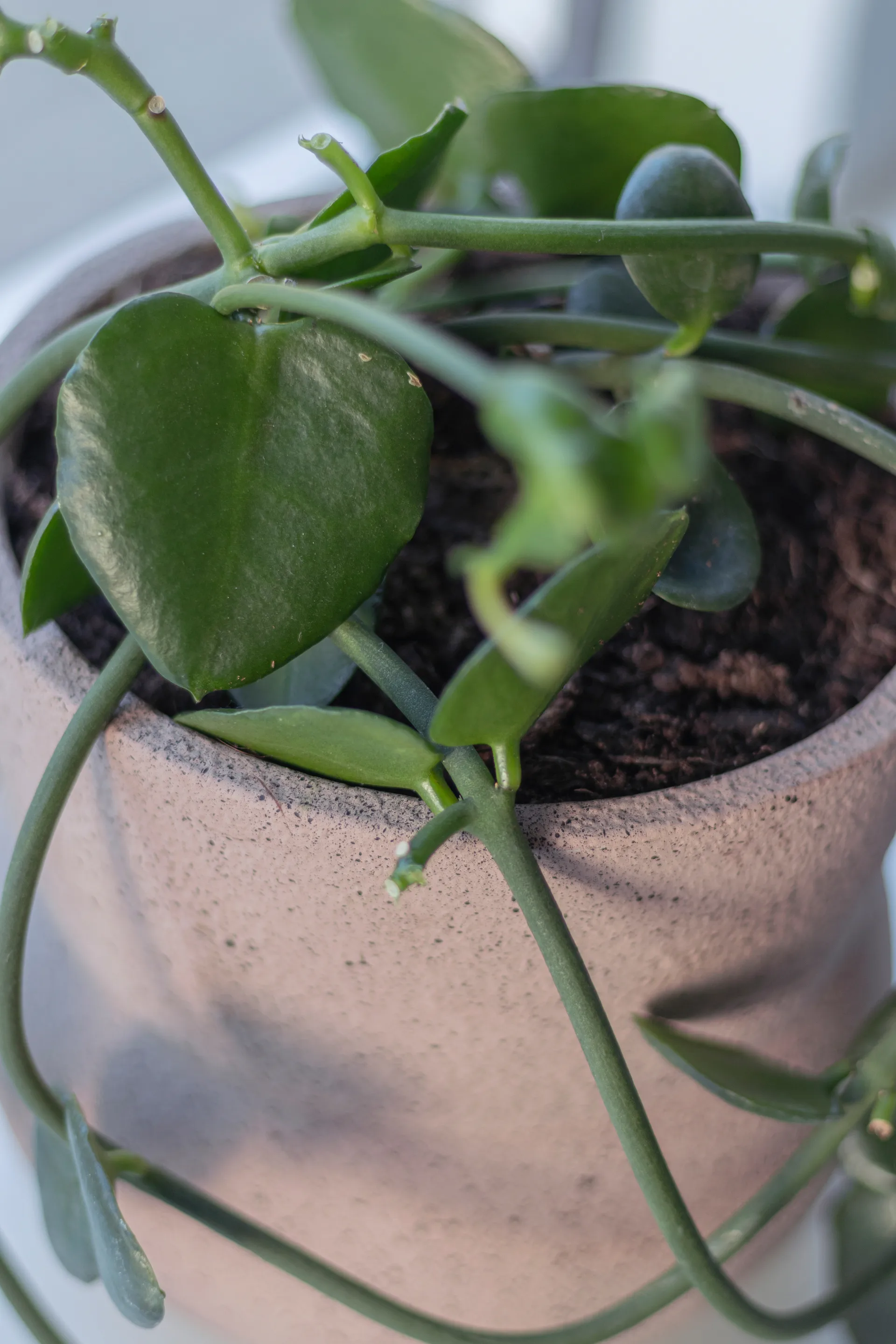 Pot de fleur Stone Ø 17 cm, Blush Mette Ditmer