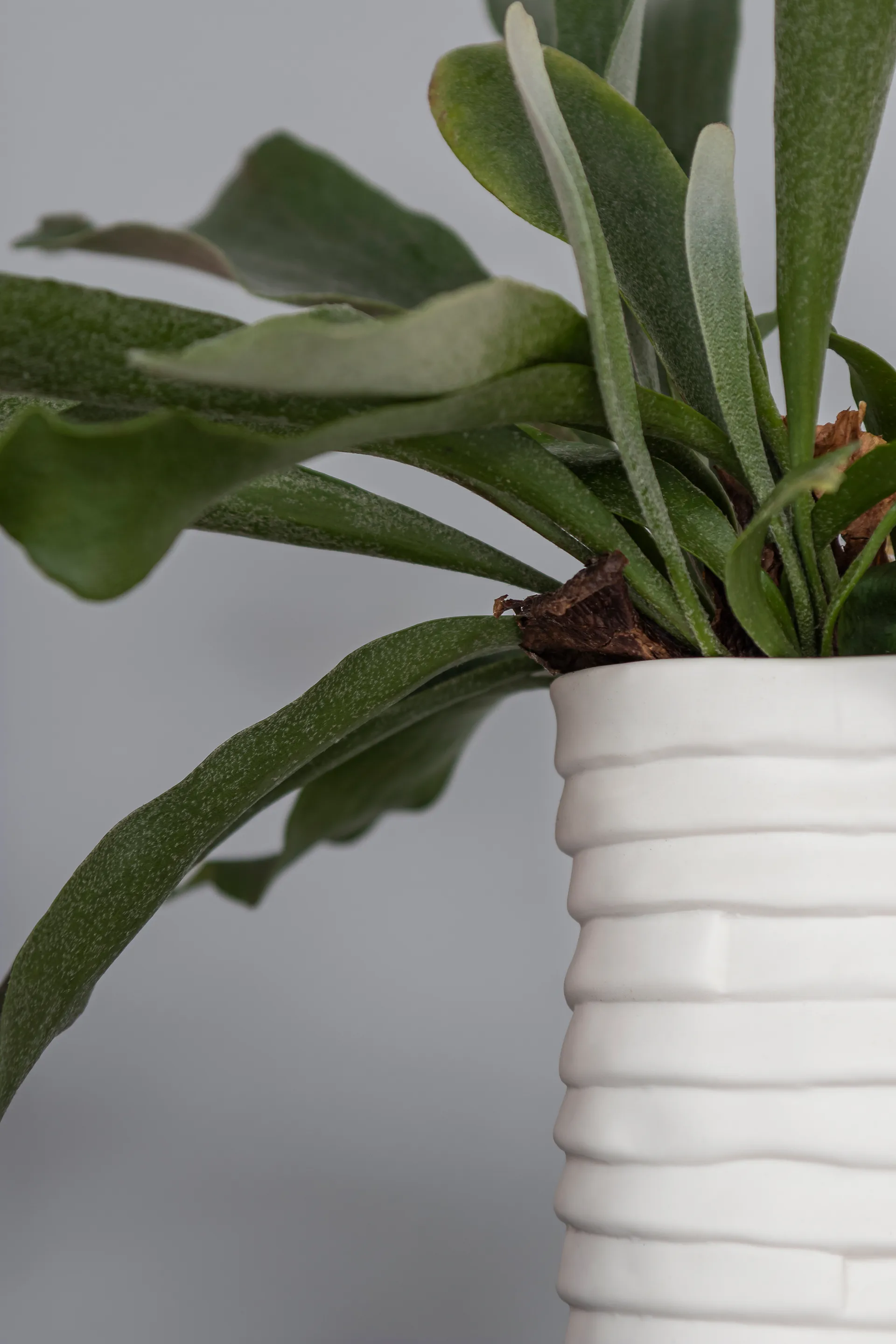 Vase Ribbon large 20 cm, Blanc cassé Mette Ditmer