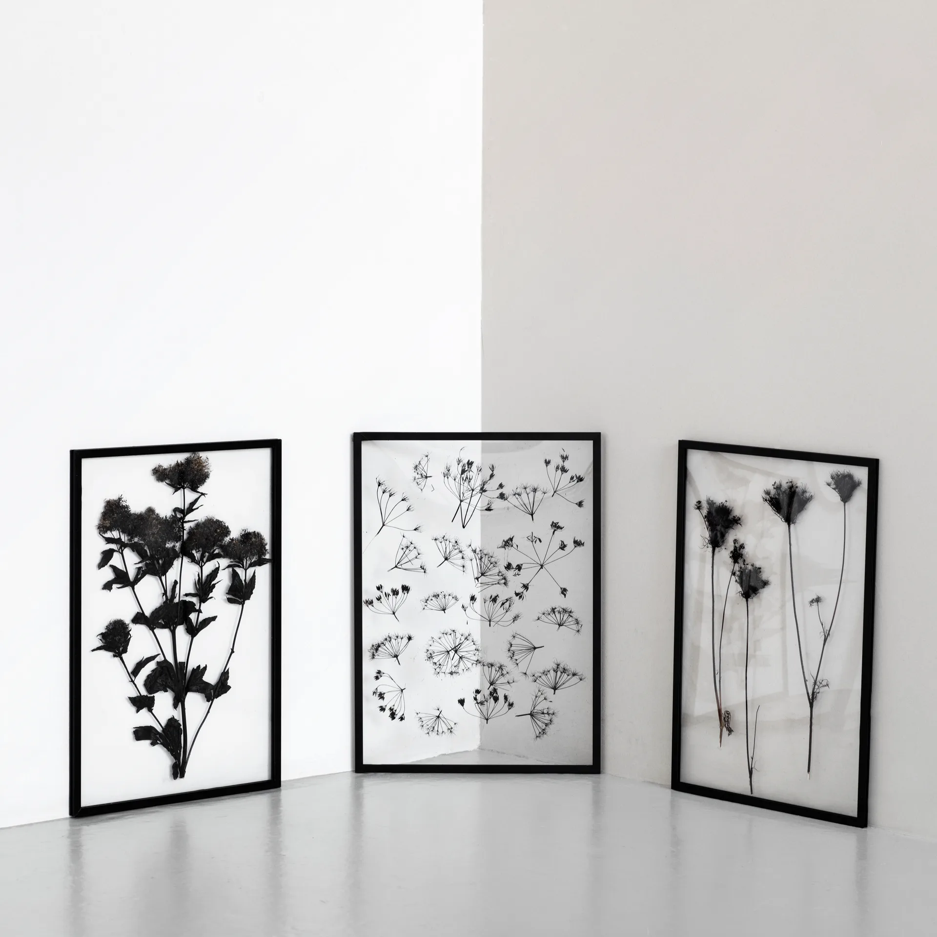 Cadre Moebe A2, Noir MOEBE