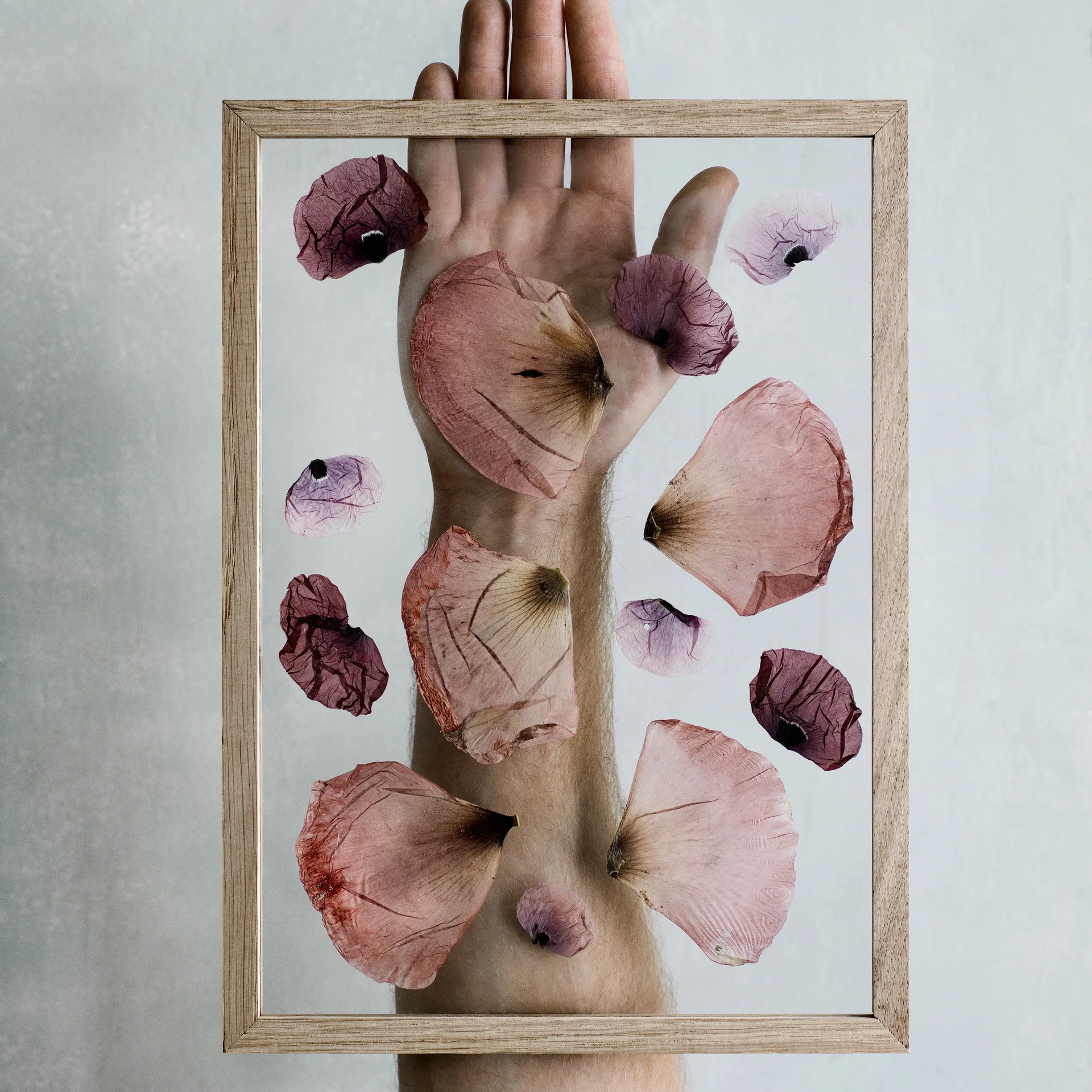 Cadre Moebe A4 23x31,7 cm, Chêne MOEBE